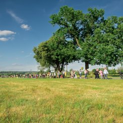 11. Dialogforum: Blick auf die Begehung im Regnitzgrund